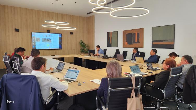 Asistentes presenciales a la reunión científica EPAI en Portugal